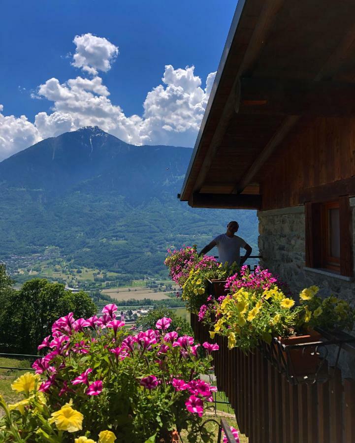Agriturismo Cavria Castione Andevenno Экстерьер фото
